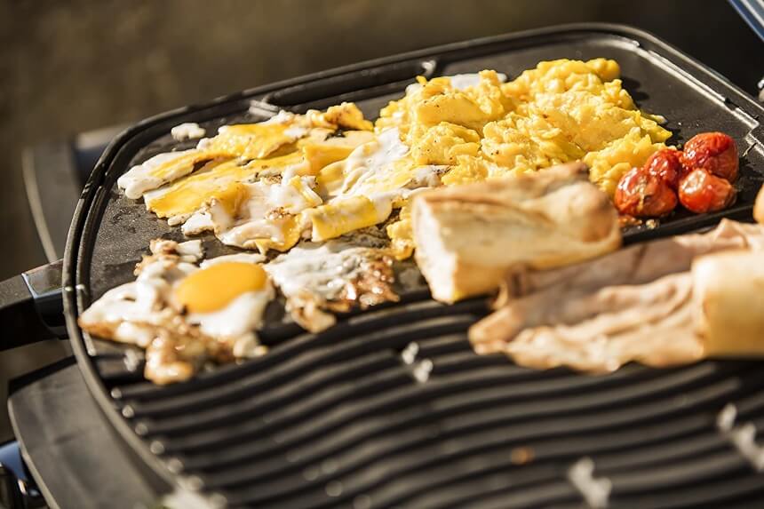 5 Best Napoleon Grills - Become New BBQ King with Reliable Brand (Winter 2022)