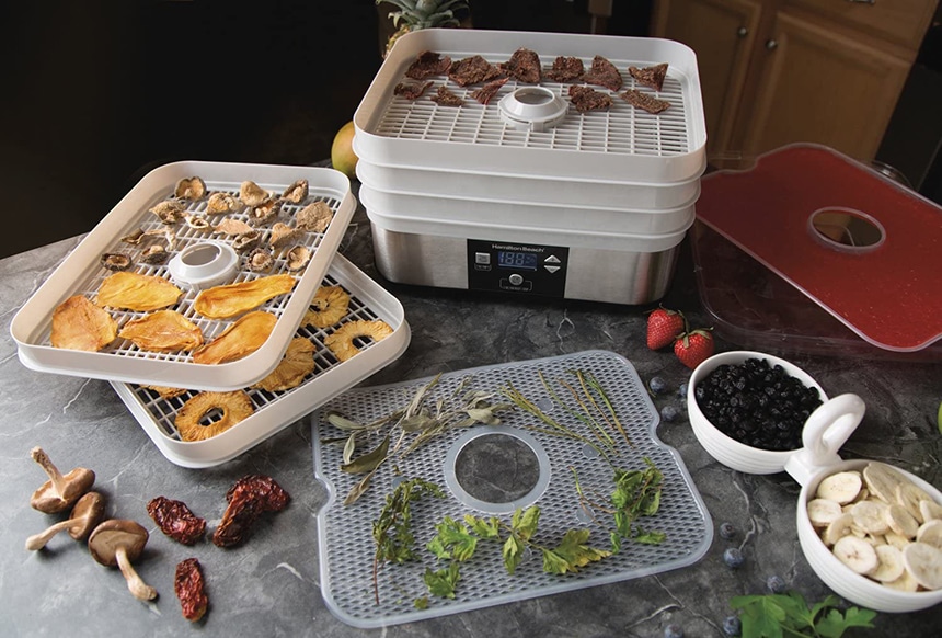 7 Best Dehydrators for Jerky for the Tastiest and Most Long-Lasting Meat (Spring 2023)